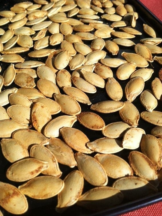 roasted pumpkin seeds