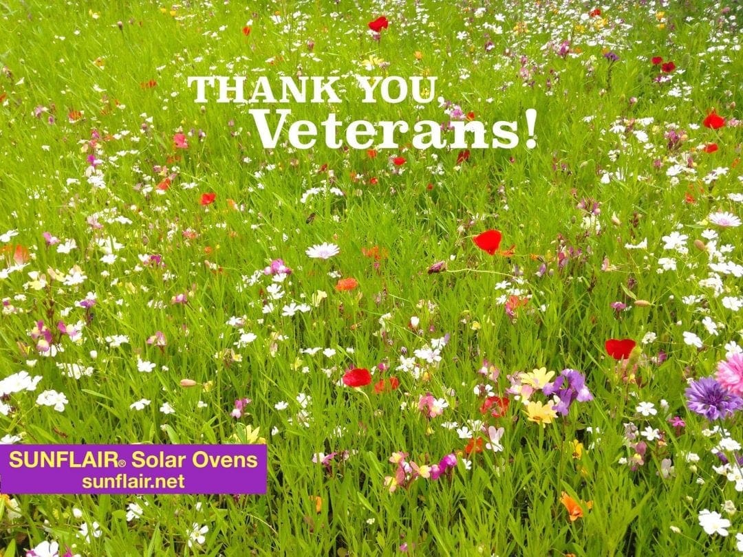 Veterans Day